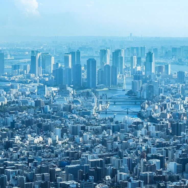 Sophie van der Meer - Expat family life guide in Netherlands