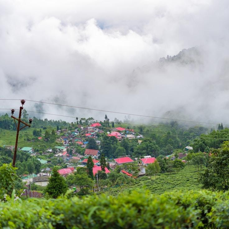Family terraces and cafés for calm evenings in Amsterdam